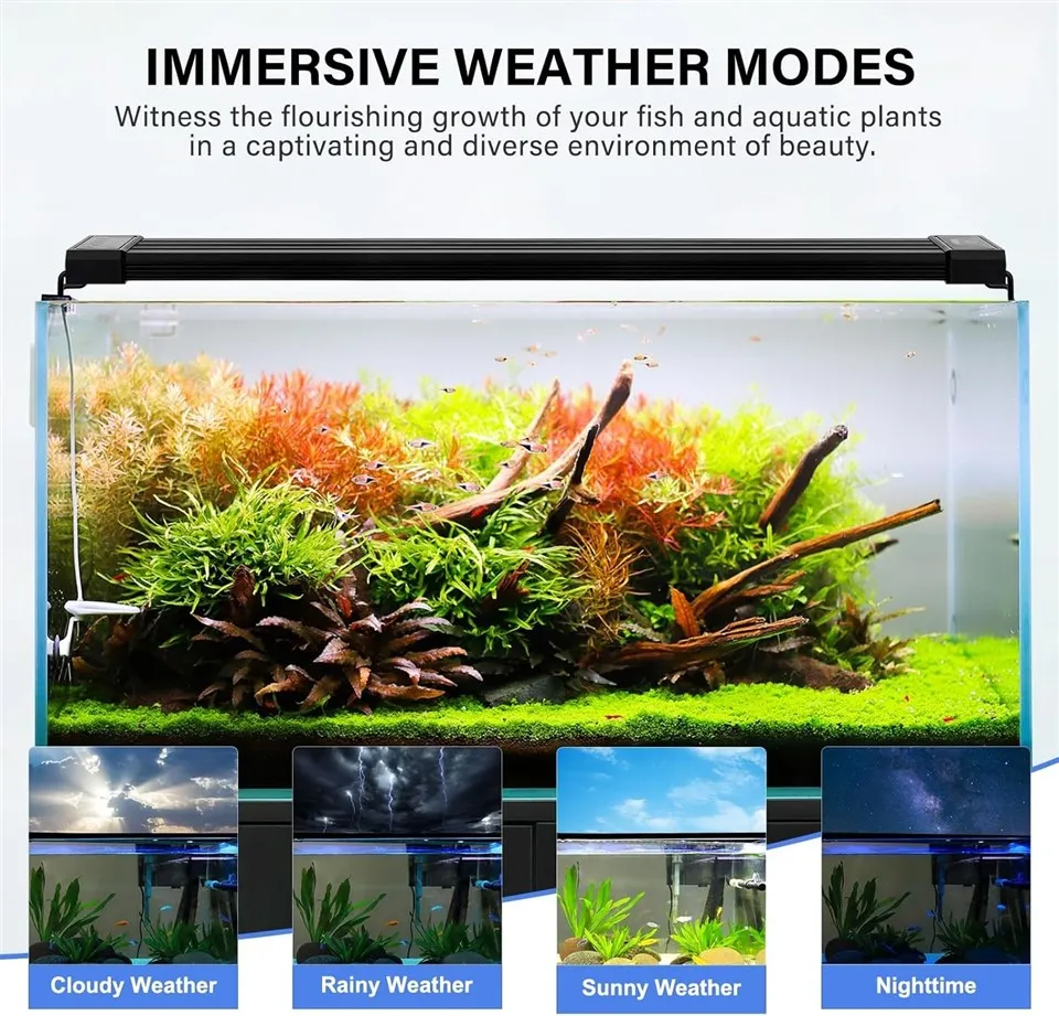 wrgb aquarium light 02